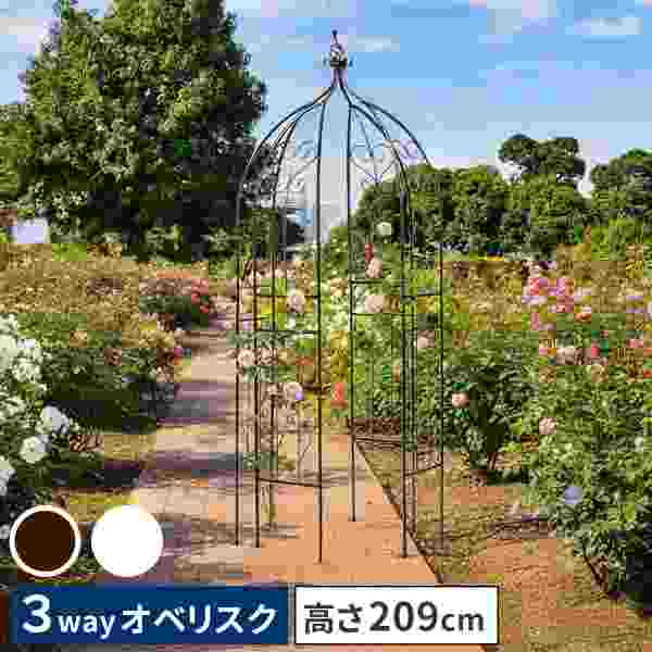 楽天市場】クレマチス アーチ 仕立ての通販