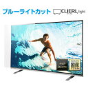 ★国産・即日発送★ 液晶テレビ保護パネル 65インチ 65型 ブルーライトカット 透過率93% テレビガード テレビカバー テ…