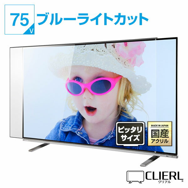 ＼20日はポイント最大5倍!!／ 東芝 REGZA 43C350X [43インチ] 液晶テレビ保護パネル 43型 ブルーライトカット テレビ保護パネル 43インチ 保護 フィルム 画面 モニター 破損 防止 有機ELテレビ UV 保護 テレビガード 薄型 カバー