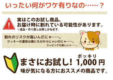 送料無料＊お試しプリントクッキー＊＊ ありがとう 誕生日 名入れ メッセージ お礼 お菓子 かわいい 文字入れ お祝い 内祝い 子ども サプライズ プレゼント 結婚祝い プチギフト イベント 差し入れ 景品 1000円 送料込