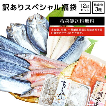 母の日 まだ間に合う 【訳あり】【規格外】 訳ありスペシャル福袋 おまかせ干物＋厳選3種(ネギトロ 明太子等) 冷凍便送料無料 北海道・沖縄・離島のみ別途送料必要 出島屋