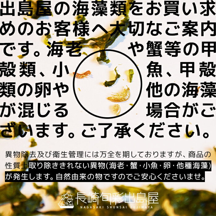 【常温便送料無料】【業務用】【徳用】1袋あたり約482円 無添加 長崎産 壱岐産 乾燥あおさのり 20g 7袋セット 北海道・沖縄・離島のみ別途送料必要 kaiso 出島屋 国産 国内産 長崎県産