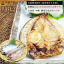 【冷凍便送料別】長崎産 あじ一夜干し 2尾 同梱品によって別途送料必要 北海道・沖縄県・離島配送で別途送料必要 出島屋 DHA EPA 青魚 干物 干し物 ひも...