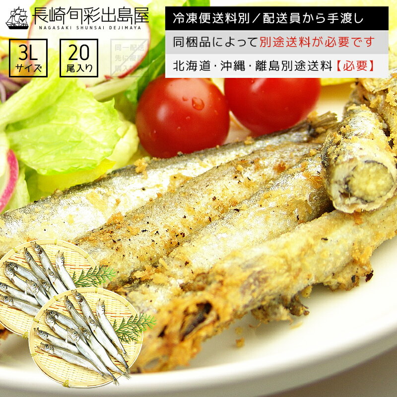 賞味期限2週間、訳アリ【冷凍便送料別】大きめ 子持ちししゃも 子持ちからふとししゃも 20尾 同梱品によって別途送料必要 北海道・沖縄県・離島配送で別途送料必要 出島屋 シシャモ カラフトシシャモ【ネコポス商品・常温便商品の同梱不可】【置き配不可】