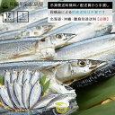 無添加 国産 新物サンマ一夜干し 10尾+2尾 ゆず胡椒付き 冷凍便送料無料 北海道・沖縄・離島のみ別途送料必要 出島屋 さんま 秋刀魚 セット 塩干し お年賀 送料無料 お取り寄せ グルメ ギフト プレゼント 魚 詰め合わせ