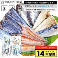 【訳あり】発送まで14営業日 創業41年 魚種おまかせ干物セット 4種12品 同一配送先に2セット以上で特典付き 冷凍便送料無料 北海道・沖縄・離島のみ別途送料必要 出島屋 ひもの 送料無料 お取り寄せグルメ 魚 詰め合わせ 干物 母の日 父の日 食べ物 ギフト プレゼント