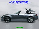 OKD プラズマダイレクト SD244061R(P106-2106) スバル レガシィ BR9/BM9 EJ25ターボ 2009年05月～ 2500cc Plasma direct