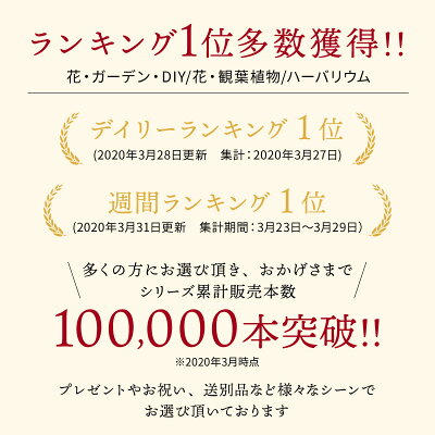 ハーバリウムボールペン 名入れ 即日発送 名前入り 完成品 ハーバリウムペン ハーバリウム ボールペン ペン 送料無料 お祝い おしゃれ かわいい プレゼント 推し ギフト 誕生日プレゼント 誕生日 花 フラワー 女性 お母さん ママ 母 祖母 入学祝い 就職祝い クリスマス - Image 3