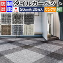 タイルカーペット 防炎 制電 パネルカーペット 約50×50cm 20枚入り ドロップチェック NT-3150 (R) DROP CHECK リーズナブル 安い 原着ポリプロピレン 50cm角 正規品 防音 床材 DIY 模様替え 店舗 事務所 施設 子供部屋 NT350シリーズ シンプル 引っ越し 新生活