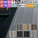 生地サンプル サンゲツ タイルカーペット アルモニー F NTP-770 F-eco (R) 楽天スーパーSALE(3)