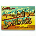 Disney-PIXAR "CARS LAND" "Radiator Springs" ディズニー/ピクサー カーズランド限定 「ラジエータースプリングス」マグネット ROUTE66