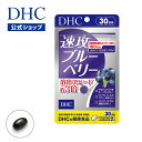 【店内P最大14倍以上開催】【ブルーベリー サプリメント】【DHC直販】 速攻ブルーベリー 30日分 | dhc サプリ ルテイ…