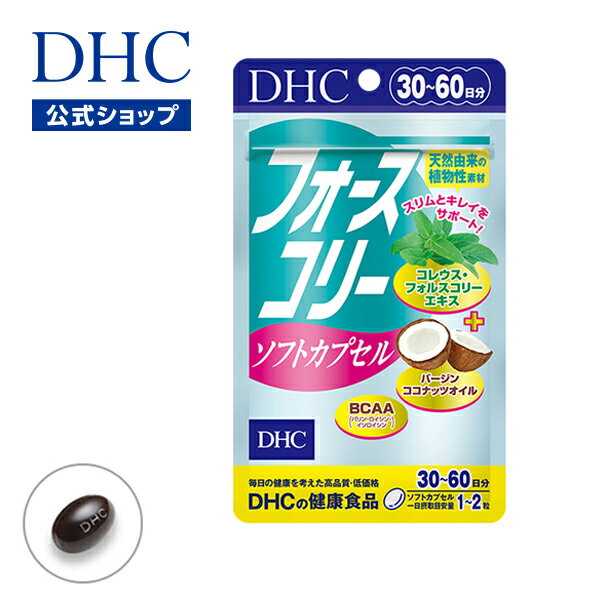 【店内P最大14倍以上開催】【DHC直販サプリメント】フォー