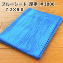 ブルーシート #3000 7.2×9.0 厚手 3000 9.0 7.2 9000 7200 9m 7.2m 9000mm 7200mm 3枚 防水 色 サイズ カラー 規格 薄手シート 養生シート 軽量シート 防水シート レジャーシート バーベキュー ビニールシート レジャー 台風 敷物 アウトドア 家庭菜園 DIY 災害 水害 豪雨