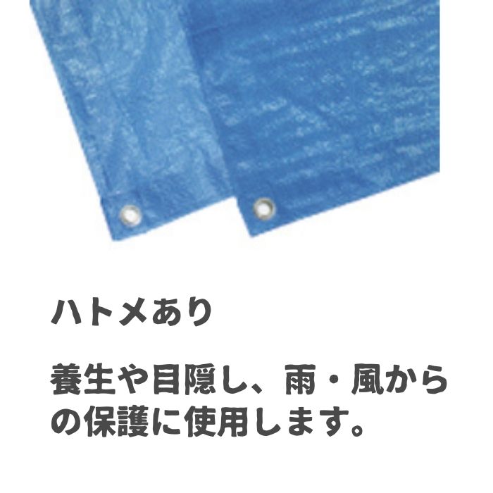 ブルーシート #3000 5.4×7.2 厚手 3000 5.4 7.2 5400 7200 5.4m 7.2m 5400mm 7200mm 5枚 色 サイズ カラー 規格 薄手シート 養生シート 軽量シート 防水シート レジャーシート バーベキュー ビニールシート レジャー 台風 敷物 アウトドア 家庭菜園 DIY 災害 水害 豪雨 2
