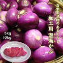 温海かぶ加工用5kg/10kg 山形県産