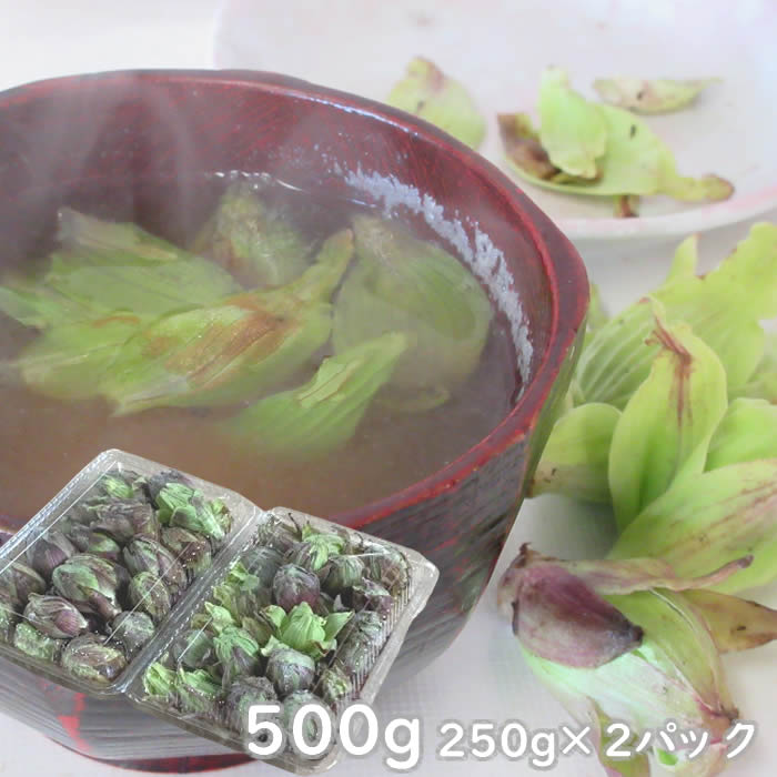 楽天市場】ふきのとう（総重量（野菜）500 ～ 999g）の通販