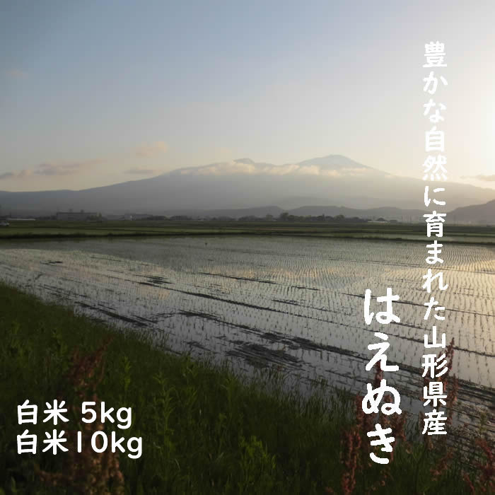 5年度山形県産庄内 はえぬき5kg/10kg 白米