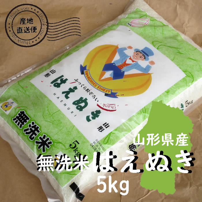 7年度山形県産 はえぬき5kg 無洗米 白米 2