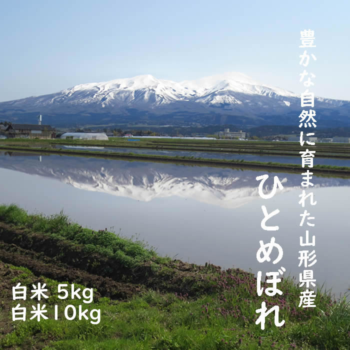 [産直山形県]「楽天シニア市場」 庄内米 遊佐町 鳥海山 ヒトメボレ hitomebore 産地直送白米 人気の米 5KG 5キロ 10キロ お中元 お歳暮コシヒカリと初星の交配種米 光沢がよく、色も美しく極良食味であることから、出会った途...