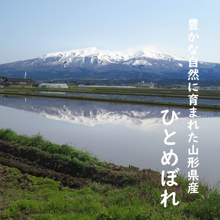 7年度山形県産 ひとめぼれ23kg 玄米 一等米