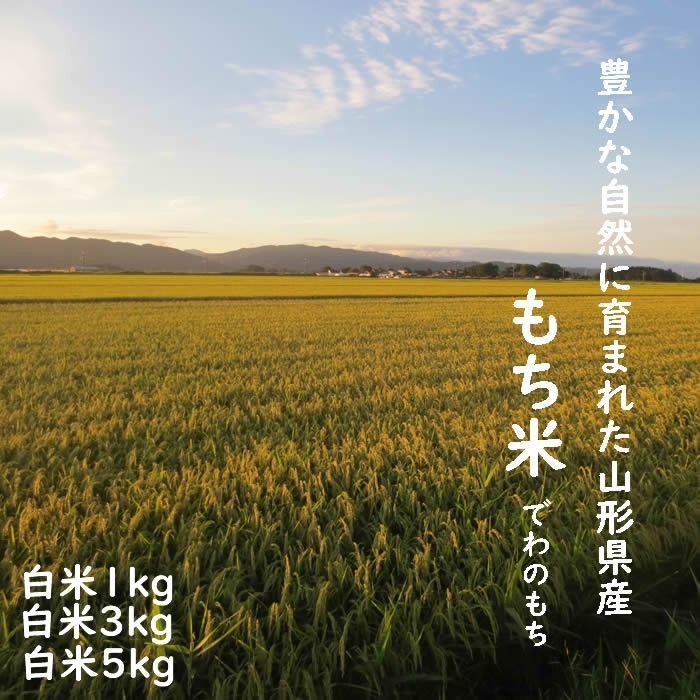 6年度 山形県産もち米 でわのもち 1kg/3kg/5kg 白米