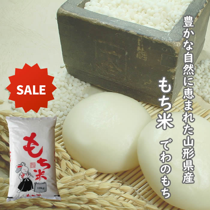 7年度 山形県産 もち米 でわのもち 白米10kg送料無料 但し一部地域送料無料対象外