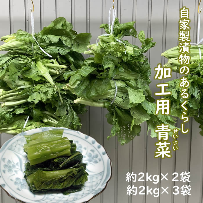 全国お取り寄せグルメ山形その他の野菜No.5