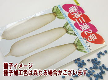 だいこん秋蒔き種子 竜神三浦二号大根 3mL小袋詰