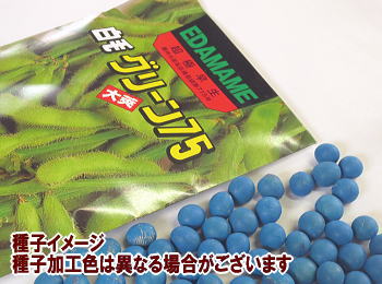 えだまめ春蒔き種子 白毛グリーン75枝豆40mL 小袋詰