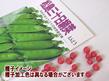 エンドウ春蒔き種子 松島三十日絹莢 20mL 小袋詰