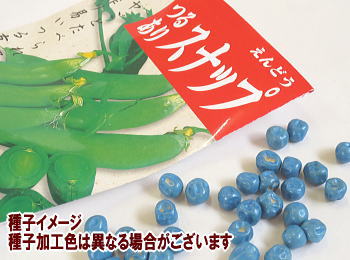 エンドウ秋蒔き種子 スナップ豌豆20mL小袋詰のサムネイル