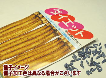 ごぼう秋蒔き種子 ダイエット6mL小袋詰のサムネイル