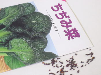 Rakuten - 葉物類春蒔き種子 ちぢみ菜 3mL 小袋詰