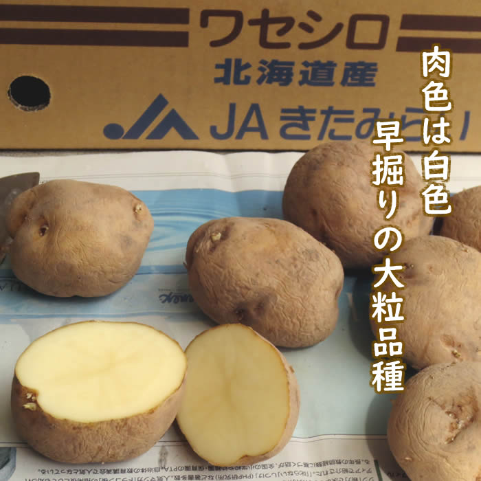 �糧���� ����� �պ���1kg