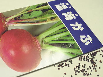 カブ秋蒔き種子 温海かぶ 3mL小袋詰のサムネイル