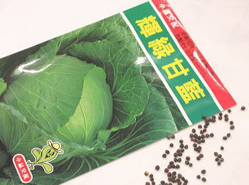 キャベツ春蒔き種子 小林交配 輝緑 甘藍 1.5mL 小袋詰 1