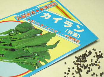 おりな春蒔き種子 中国野菜カイラン 芥藍 3mL小袋詰