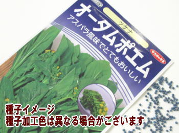 おりな秋蒔き種子 サカタ交配オータムポエム1.7mL小袋詰のサムネイル