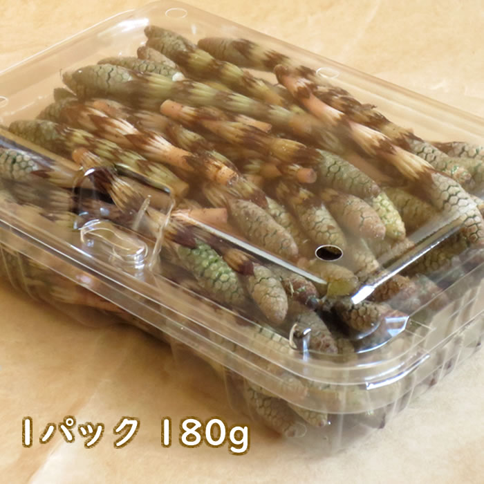 つくし 土筆 180g 山形県産 /クール便