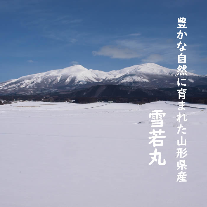 7年度山形県産 雪若丸5kg 玄米の紹介画像2