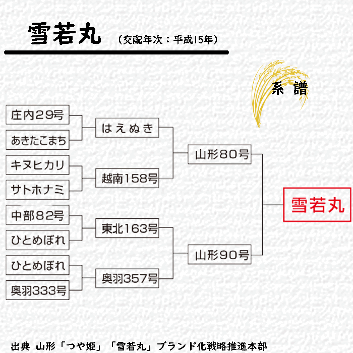 7年度山形県産 雪若丸5kg 玄米の紹介画像3