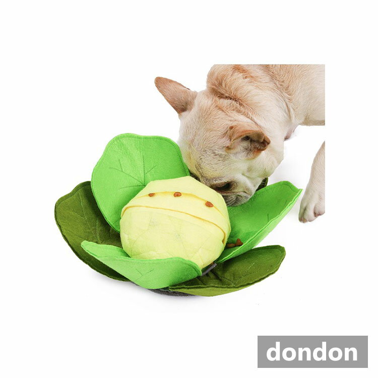 探犬TOYキャベツ