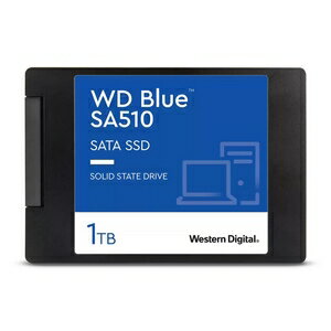 Western Digital WD Blue SA510 