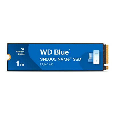 Western Digital WD Blue SN5000 WDS100T4B0E (M.2 2280 1TB)