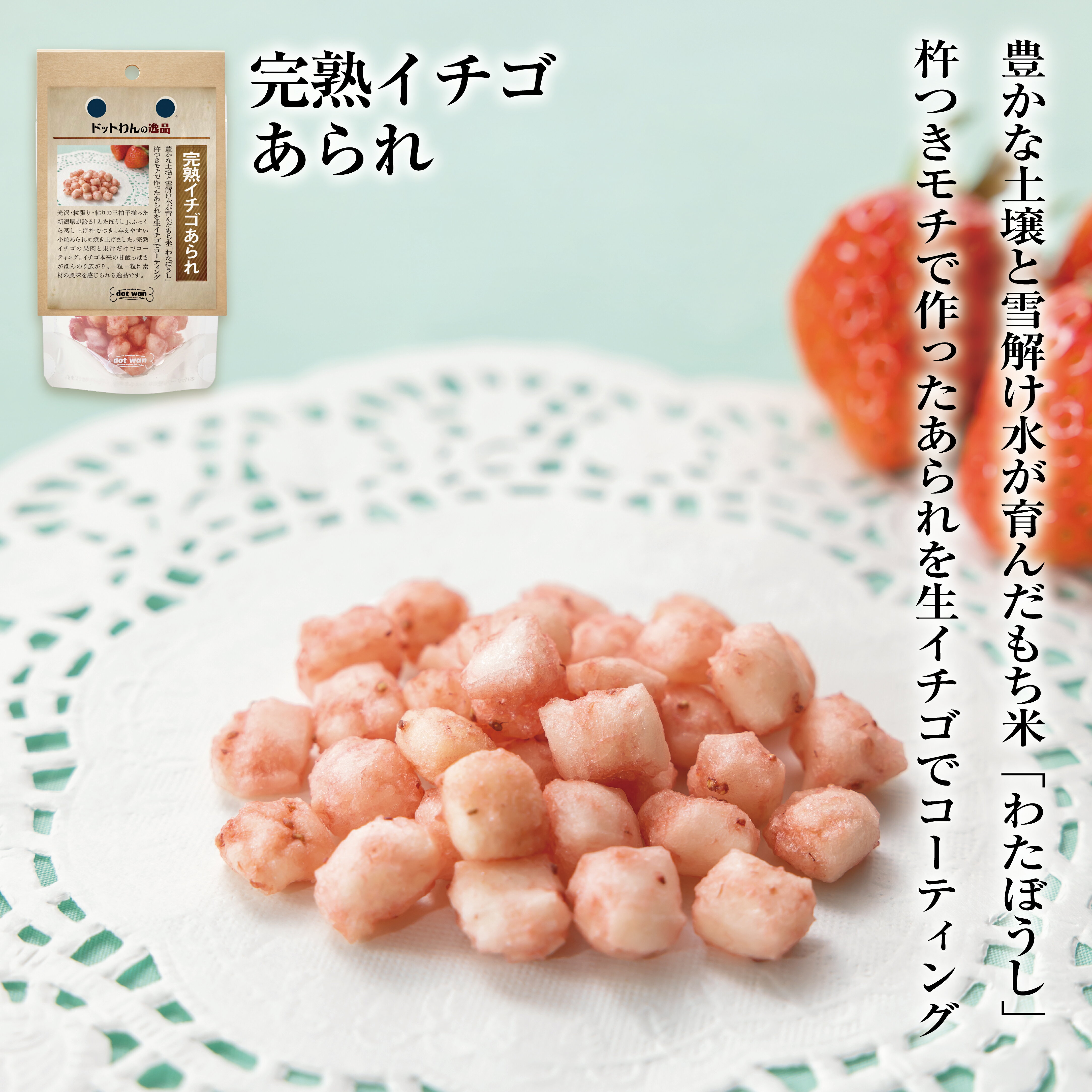ドットわん