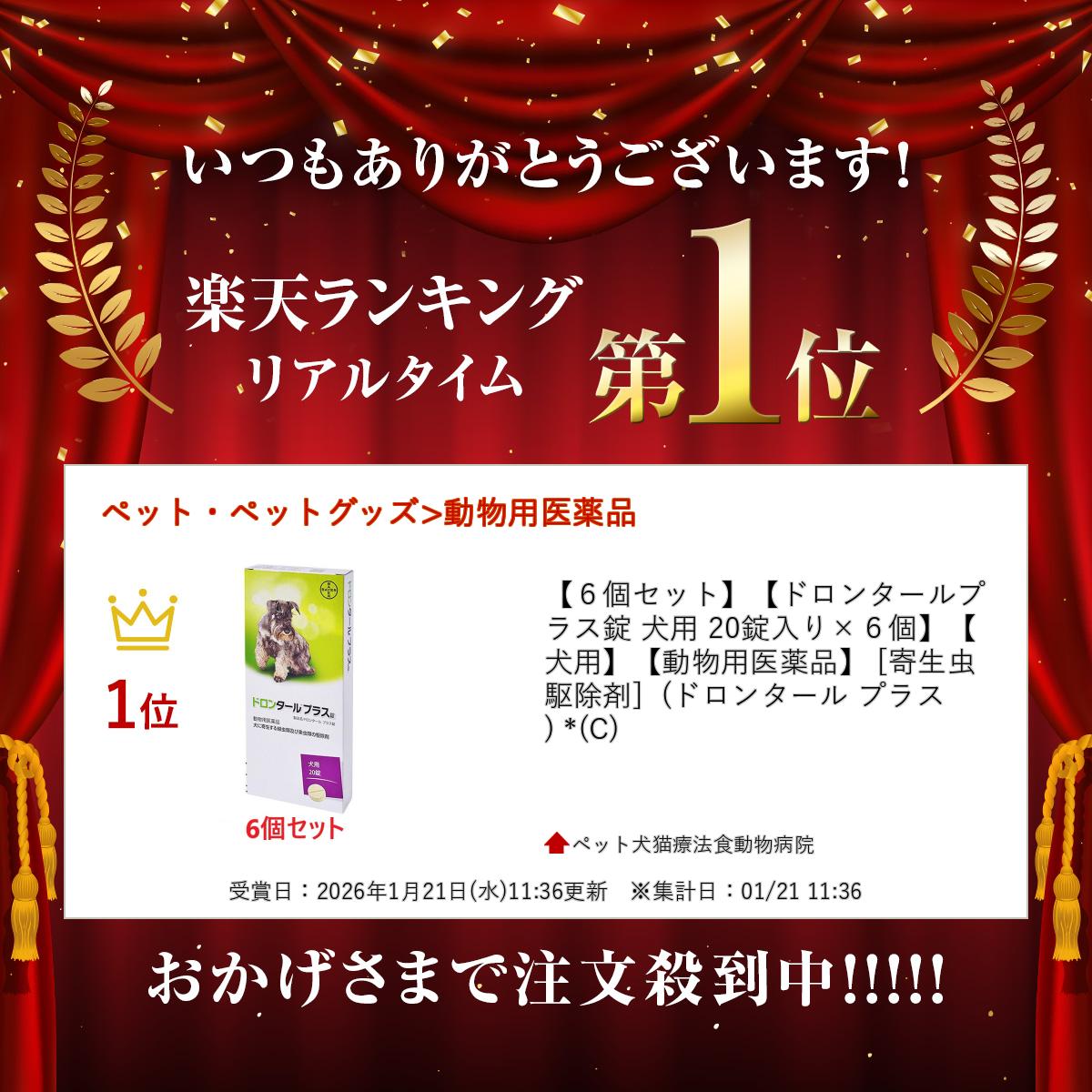 ��6�ĥ��åȡۡڥɥ��󥿡���ץ饹�� ���� 20�������6�ġۡڸ��ѡۡ�ưʪ�Ѱ����ʡ� [����������] (�ɥ��󥿡��� �ץ饹) *(C)