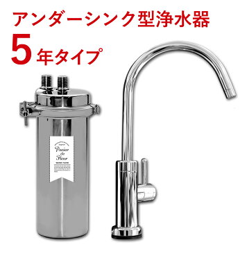 アンダーシンク ビルトイン アンダーシンク浄水器 ビルトイン 浄水器 メンテナンス不要 水栓 5年間 長寿命 カートリッジ交換不要 ウォーターサーバー 長持ち 浄水 業務用 浄水機 じょうすいき 飲む 飲み水 トリハロメタン 水 塩素除去 送料無料