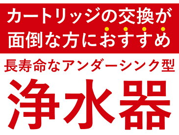 アンダーシンク ビルトイン アンダーシンク浄水器 ビルトイン 浄水器 メンテナンス不要 水栓 5年間 長寿命 カートリッジ交換不要 ウォーターサーバー 長持ち 浄水 業務用 浄水機 じょうすいき 飲む 飲み水 トリハロメタン 水 塩素除去 送料無料