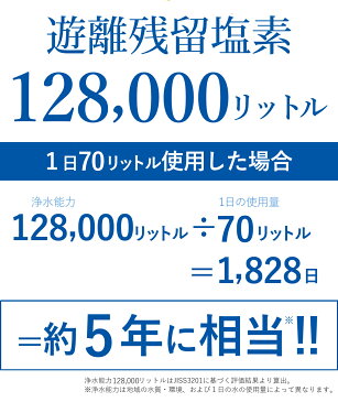 アンダーシンク ビルトイン アンダーシンク浄水器 ビルトイン 浄水器 メンテナンス不要 水栓 5年間 長寿命 カートリッジ交換不要 ウォーターサーバー 長持ち 浄水 業務用 浄水機 じょうすいき 飲む 飲み水 トリハロメタン 水 塩素除去 送料無料